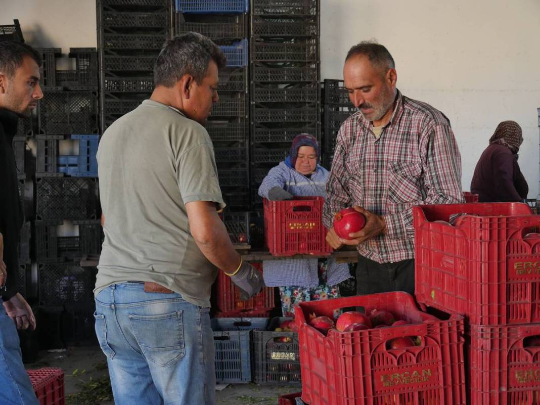 Neye niyet, neye kısmet: İlçenin ekonomisini ayağa kaldırdı! Yüksek gelir elde ediyorlar, kapış kapış satılıyor 20
